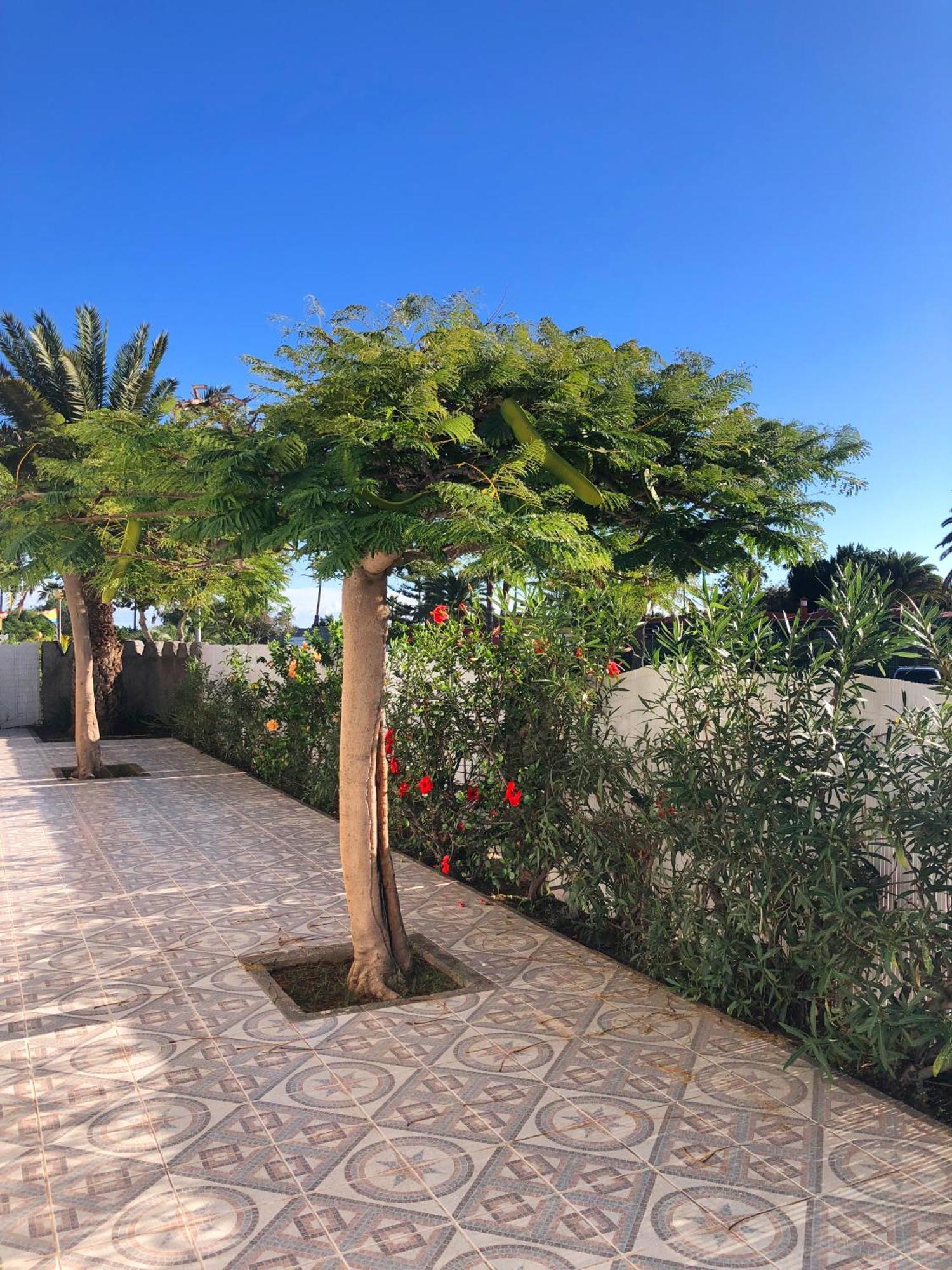 Bungalows Las Almenas Маспаломас Екстериор снимка