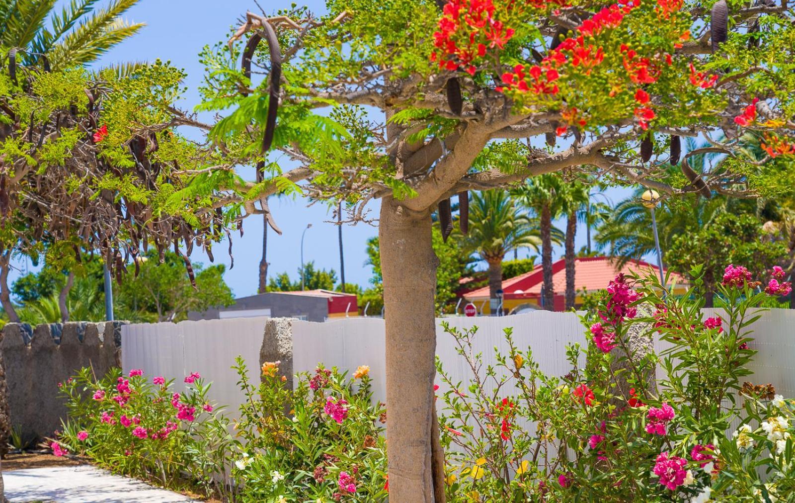 Bungalows Las Almenas Маспаломас Екстериор снимка